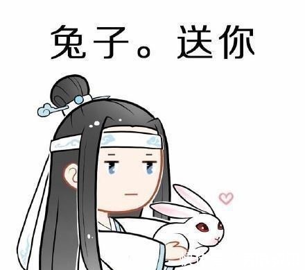 抹额$蓝忘机“蓝”朋友你的,天子笑送你,兔子送你,你是我的!