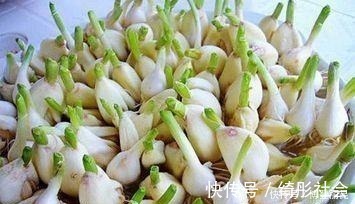 毒素|发芽的大蒜不能吃？专家：3种食物发芽后，吃了对人体更好