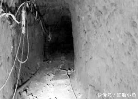 写出|刘伯温挖诸葛亮墓，见墓中8个字，赶紧磕头谢罪，后写出千古神书