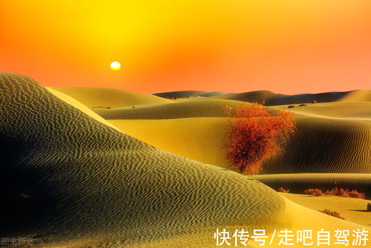 塔克拉玛干沙漠|一眼万元！国内最贵景区，一张门票3500元，外国人30万，它凭啥？