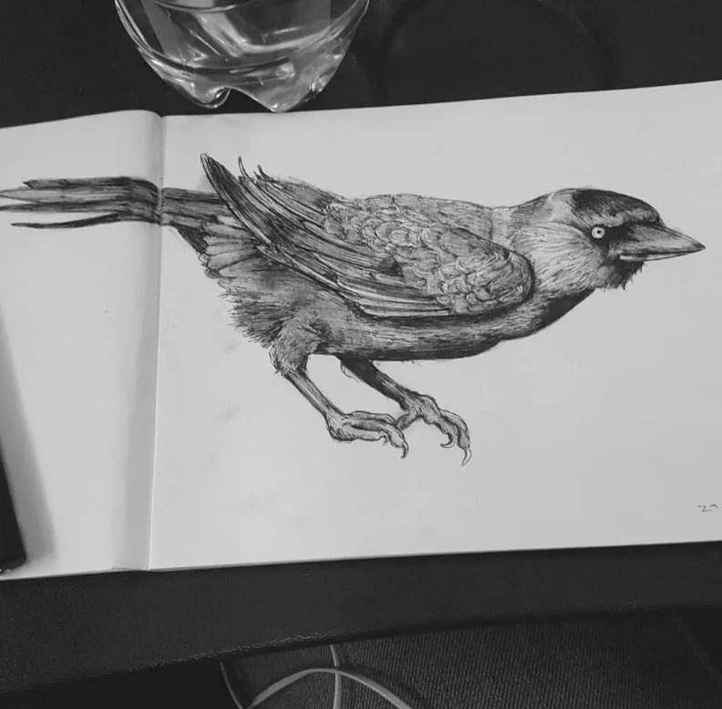 针管笔$全球最抠女画家,用针管笔惊艳世界,这细节和线条让人惊叹不已!