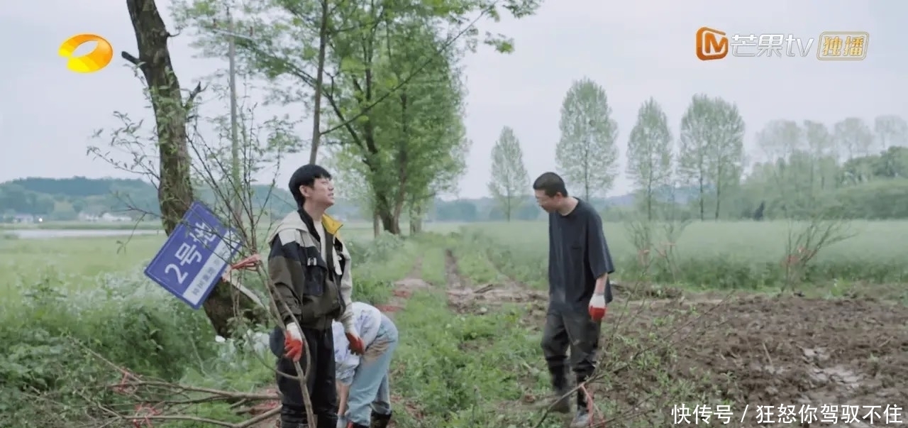 四棵树 蘑菇屋请陈赫和李诞是一个错误,除了偷懒以外,并没有带来啥看点