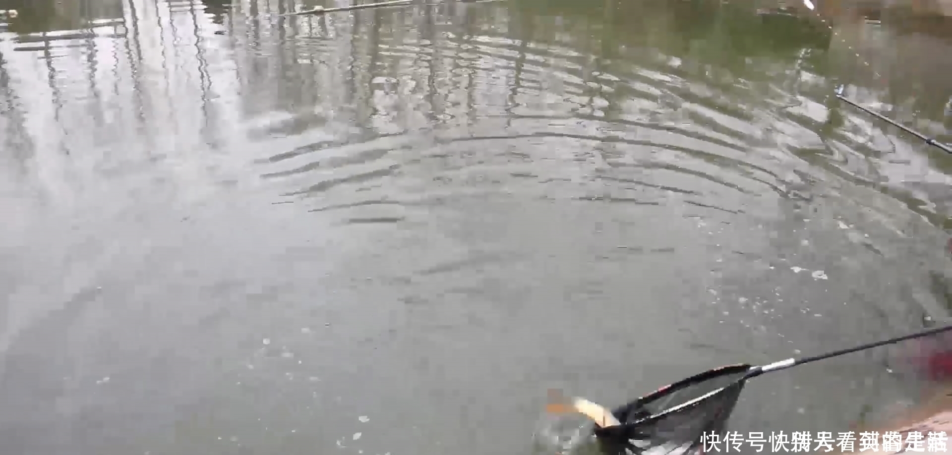 二段式|刺鱼时,这一个小技巧很多钓友都不知道,切线跑鱼大多因为它