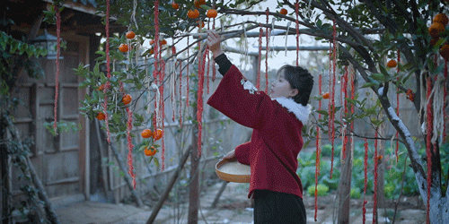 一物一生，吃完萝卜，一生系列就停在这里了吧