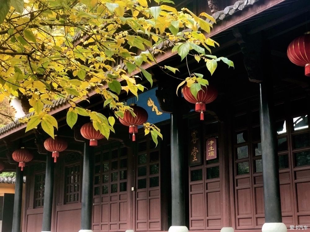 自驾|自驾一日游大佛寺景区