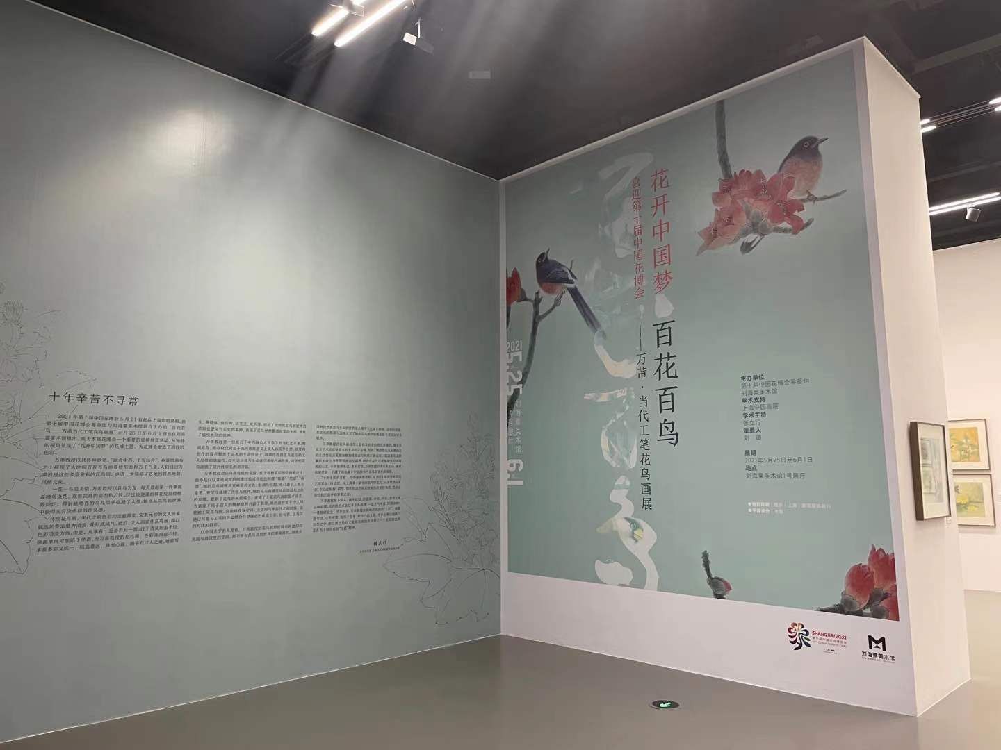 花鸟画|十年，这位上海画家画了100幅花鸟图，与花博会的鸟语花香交相辉映