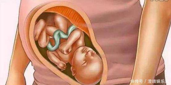宝宝是怎么被慢慢孕育出来的，十张过程图，一切来之不易