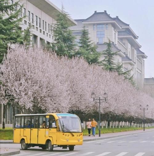 陕西师范大学2020年陕西省本科各批次分专业录取分数统计