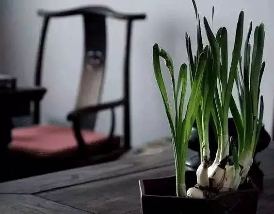 季羡林&中国人的书房，骨子里的风雅