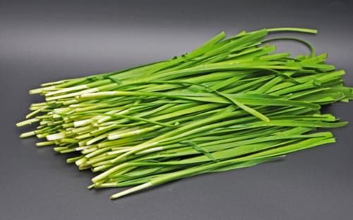 韭菜是“長生草”？但真的適合所有人吃嗎？醫生：兩類人需要遠離