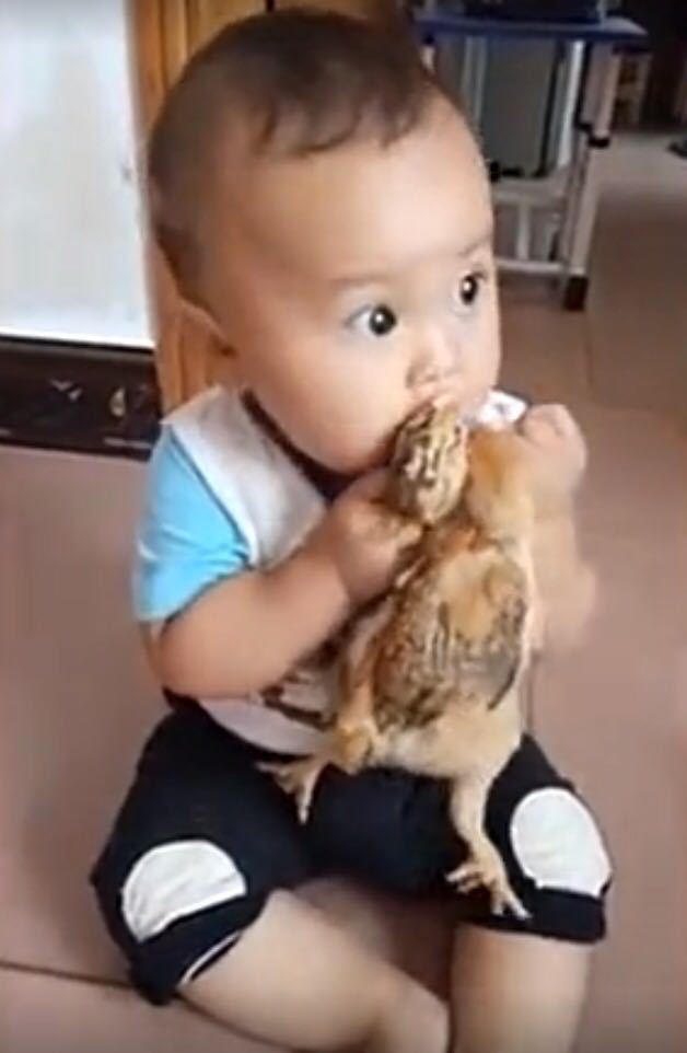 宝妈在卫生间洗衣服听到客厅有动静,出来看到宝宝行为,笑弯腰