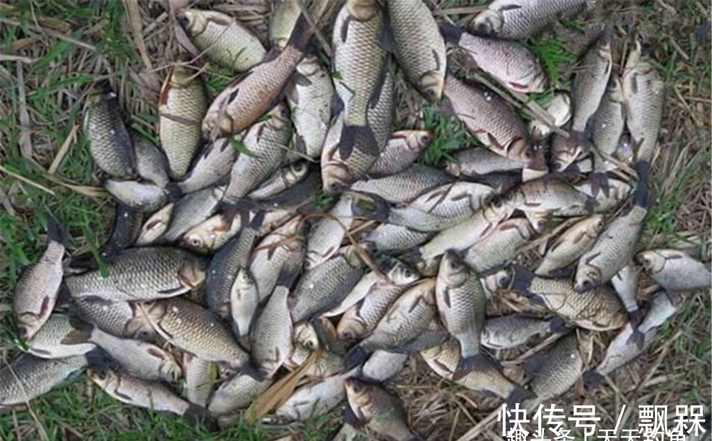 冬钓久等不见发窝,是打窝手法的问题,换个方法,聚鱼效果翻倍