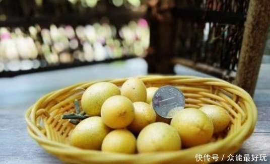 却少|南方这种小果子,既是水果又可入药,润肺止咳比梨好,却少有人知