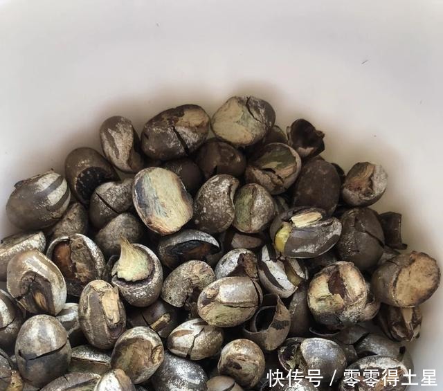颠覆认知的五个东北冷知识,东北人可能都不知道!