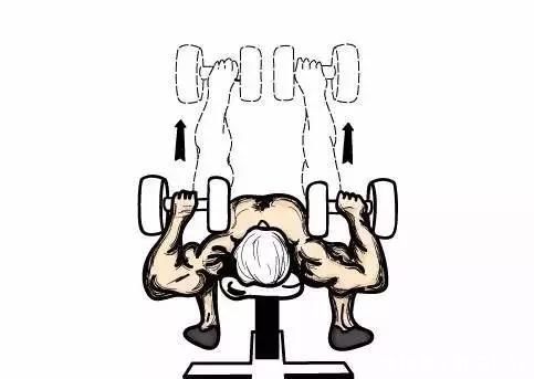 胸肌|小伙儿坚持每天做300个俯卧撑，却得了个山路十八弯的结果