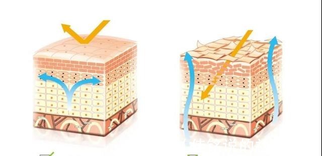 混搭 这些护肤品成分不能混搭,你知道吗!