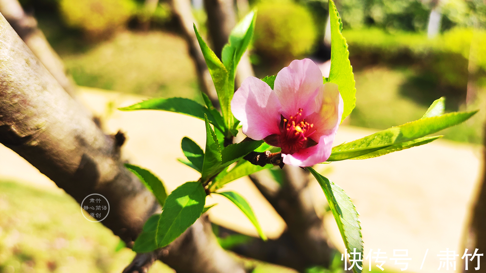 媒戒|你把别人的痛点抓在手中,人家会爽吗