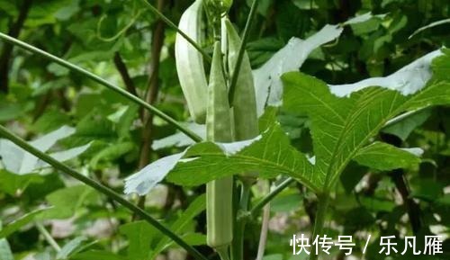 肌肤|每天不妨多吃3种食物,补充营养、滋润肌肤,爱吃就赚了!