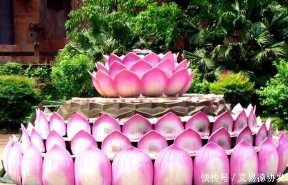 安排|孙悟空成佛后坐骑是什么?如来佛祖早就给他安排好了!