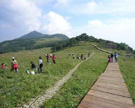 “八碟八碗”，是村中的招牌菜，这里山野菜都是当地特产