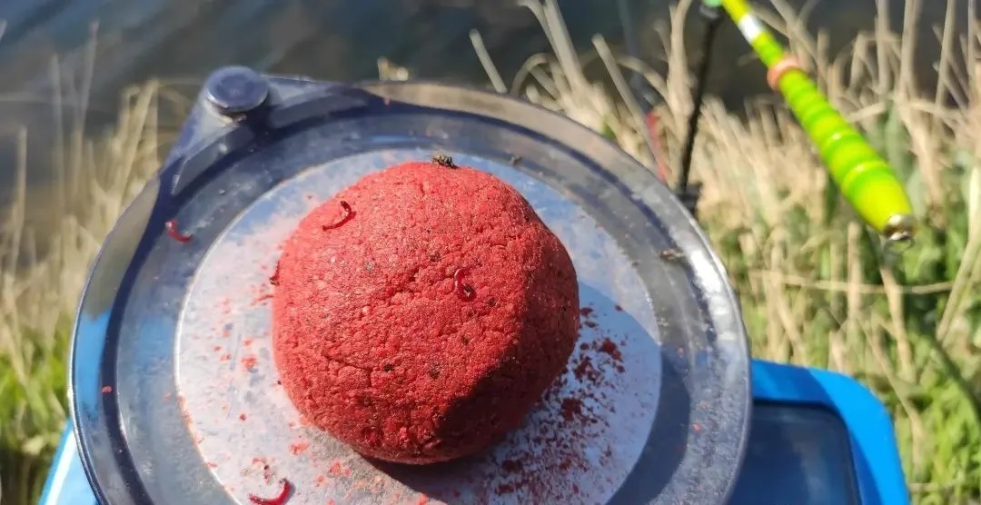 冬季野钓,傻坐一天无鱼咬钩?给你四条建议,其实大板鲫很好钓