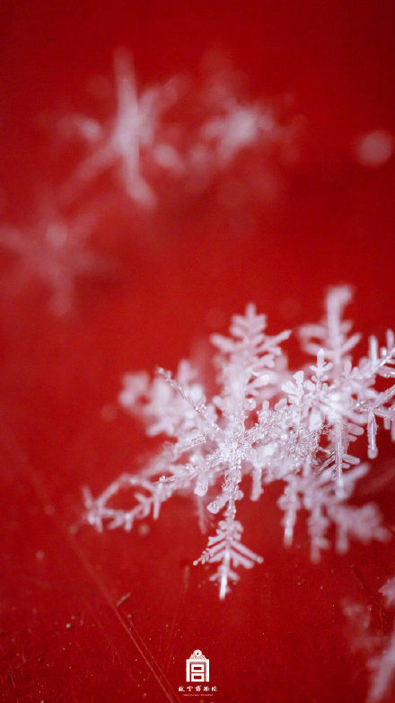 故宫的雪景新片来了