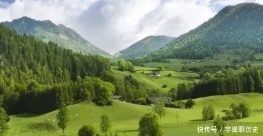 寺院|韦应物闲居赋诗,一首绝句充满闲情逸致,更是百读不厌