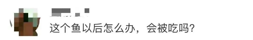 成交价！一条鱼卖出299.9999万，让人惊讶的是已经不是第一次