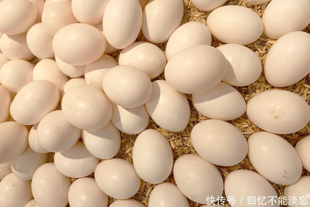 低嘌呤食物|5种能降尿酸、减少痛风发作的食物,建议收藏