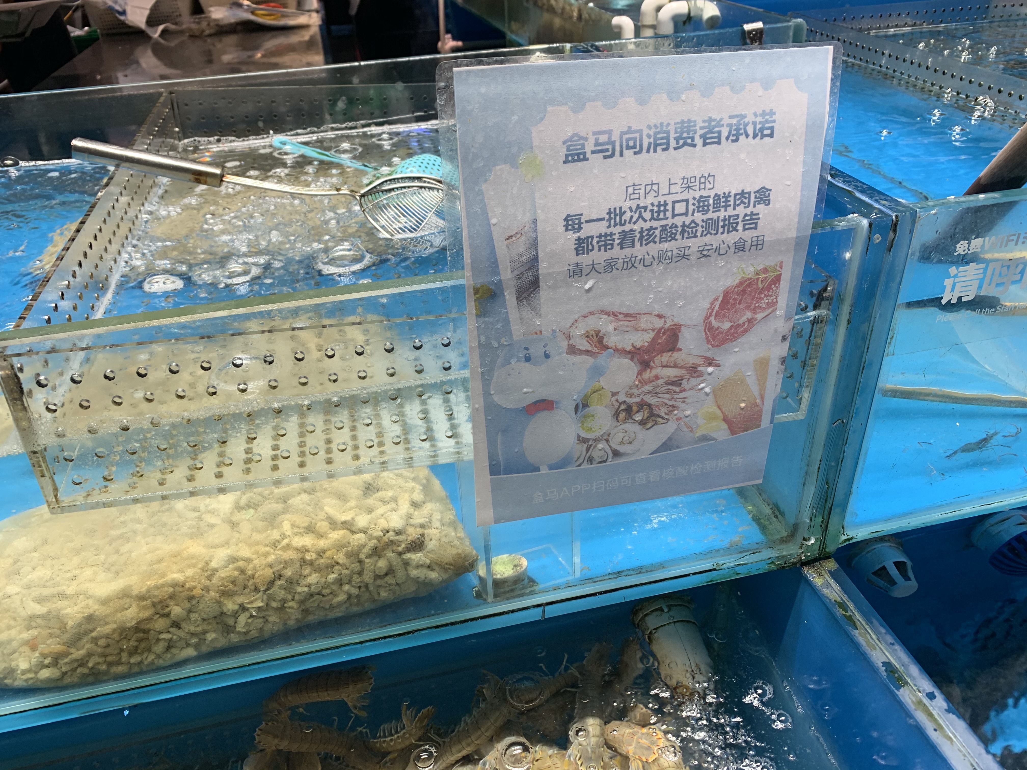 视频|视频丨吃冷链食品安全吗？扫一扫可看冷链食品核酸检测报告