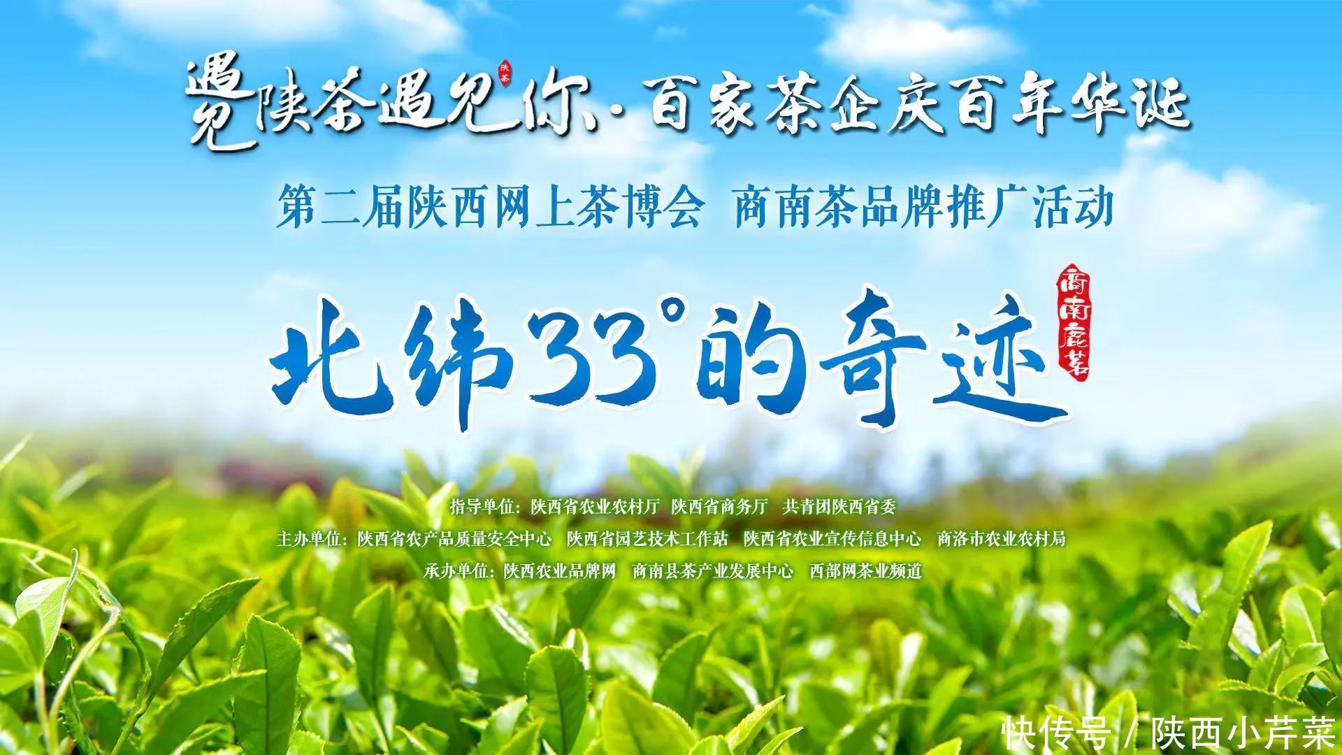 商南茶|遇见陕茶遇见你 探访北纬33度的奇迹