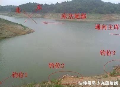钓位|夏天钓鱼,这几个小细节不改过来,永远别想钓大鱼