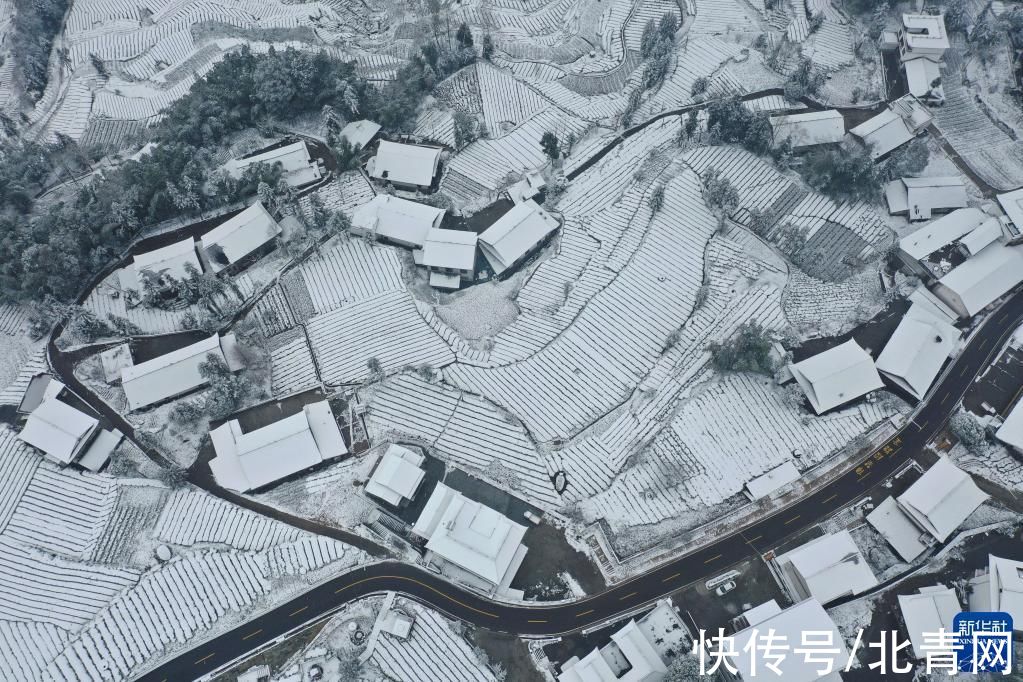 万寨乡|雪润茶乡