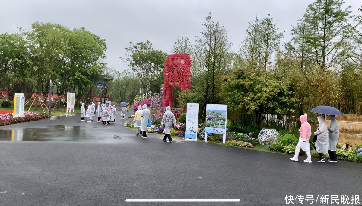 雨天逛博别有风情 幽兰竞放图景美好|花田速写 | 花艺馆