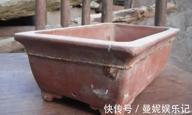 食醋|养花技巧:醋、橘子皮、小苏打用来养花,好处多!