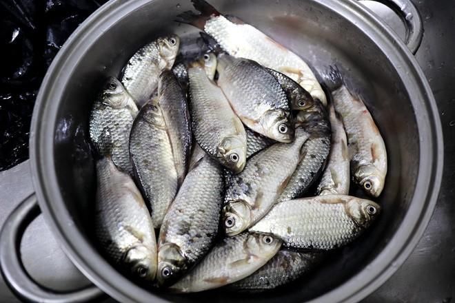 鲫鱼豆腐汤|它的营养比甲鱼还高,浑身上下全是宝贝,一斤7元却无人问津