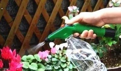 家庭养花,7分靠浇水,4个技巧要学会,一生受用,养啥旺啥