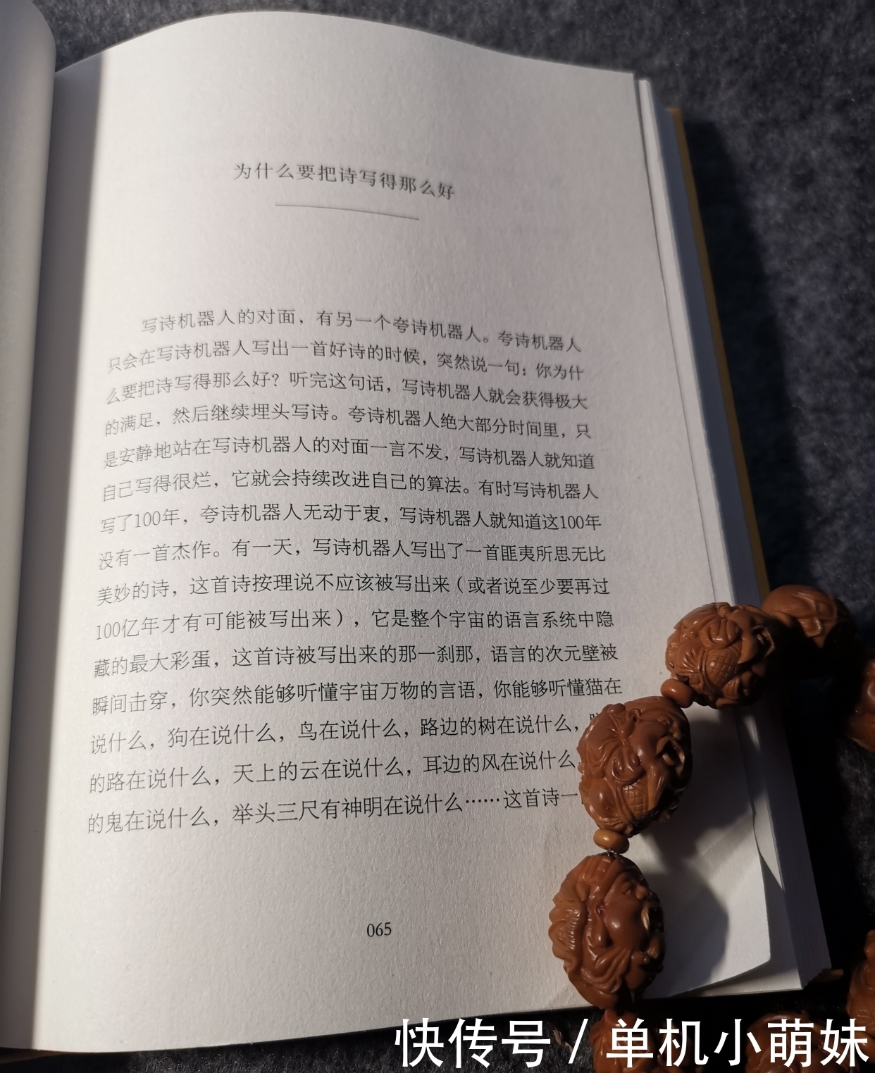 小说家|最自大的天才小说家写了一本最自大的小说