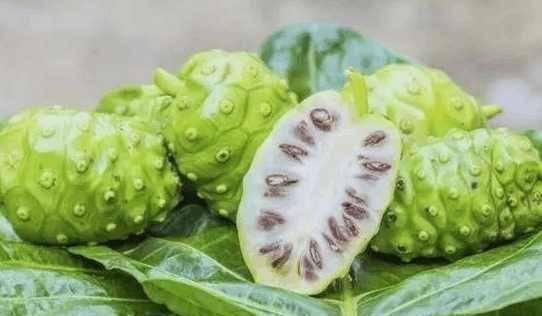 海巴戟|4种少见的水果,我只吃过第一种和第三种,全部都吃过的就厉害了