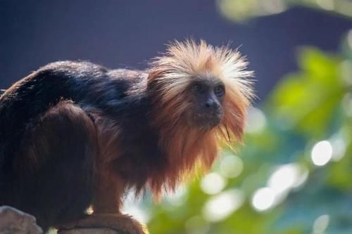 最潮流发型，你pick哪一个？