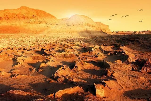 生命 如果将真菌生物放置在火星上，若干年后，它会演化出生命吗