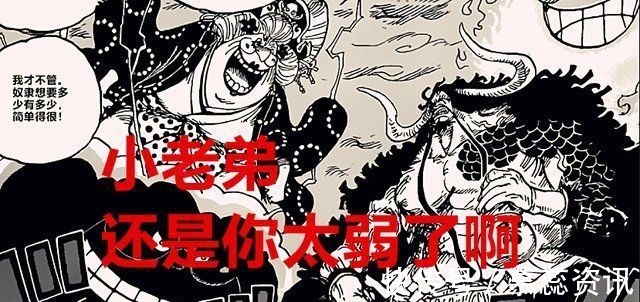 凯多团|海贼王1025话同样都是四皇团,为何凯多团被喷是最弱的队伍