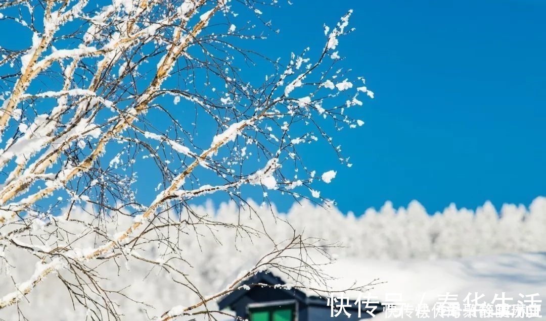 韦应物#咏雪最好的8首诗词,藏着千古名句,哪一首是你心中的第一