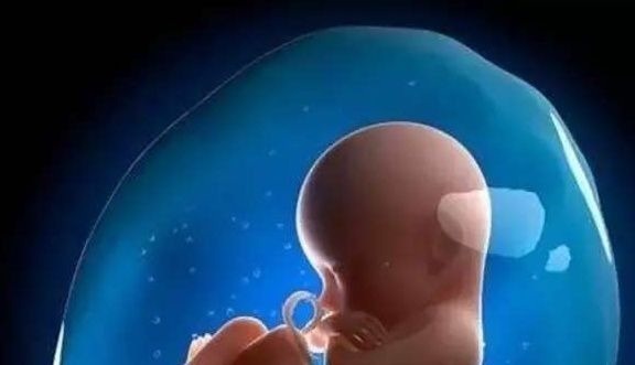羊水|胎宝宝发育的好不好,看准妈妈的这两项指标就知道了