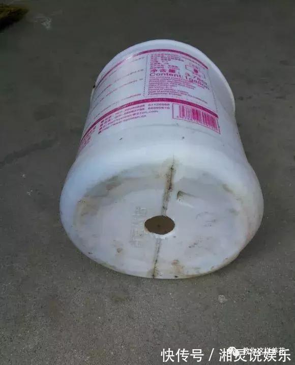 种阳台葡萄|葡萄树掌握2个小窍门,轻松繁殖10盆,种阳台葡萄吃不完!