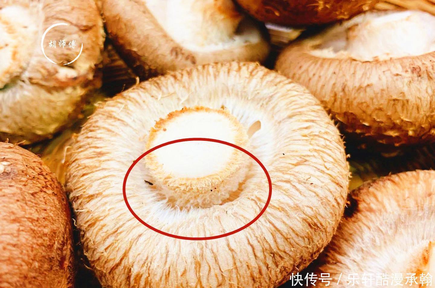 买香菇时,买“轻的”还是“买重”的差别挺大,弄懂再买心有底