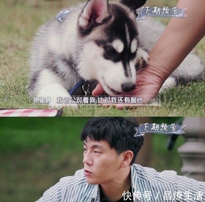 油菜花海|董卿手寫信有感，“腹有詩書氣自華”，多讀書突破自己！