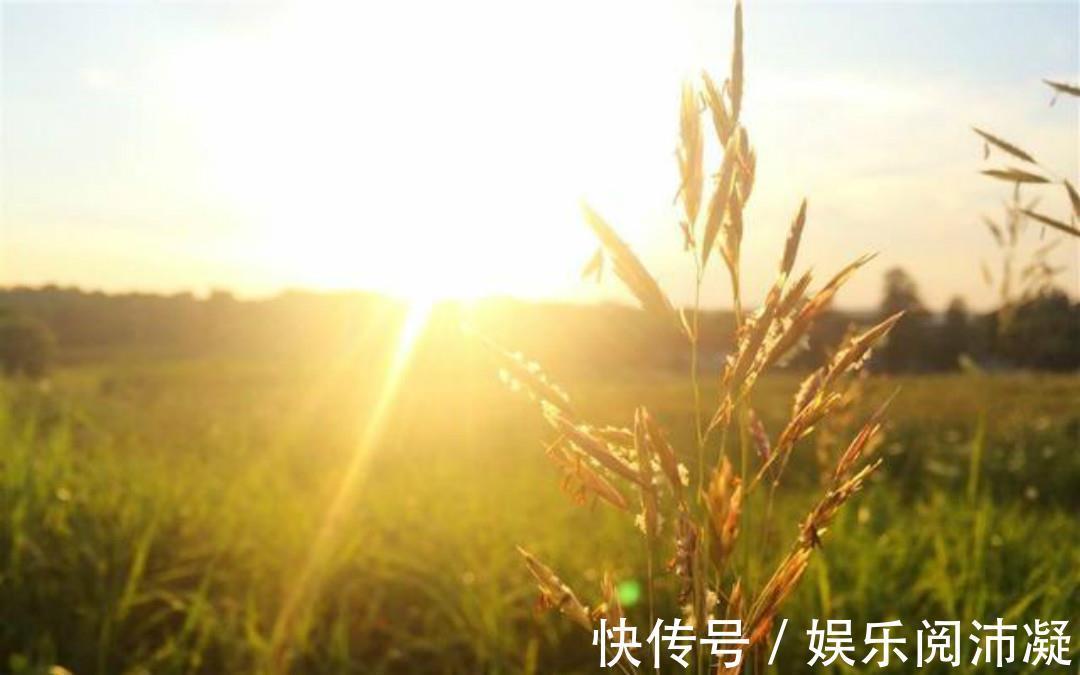 高僧&元代高僧思念已故的母亲,写下一首很感人的诗,每一句都耐人寻味