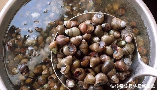 想让田螺沙吐净,只放盐是不行的,多加一勺“它”,田螺狂吐沙