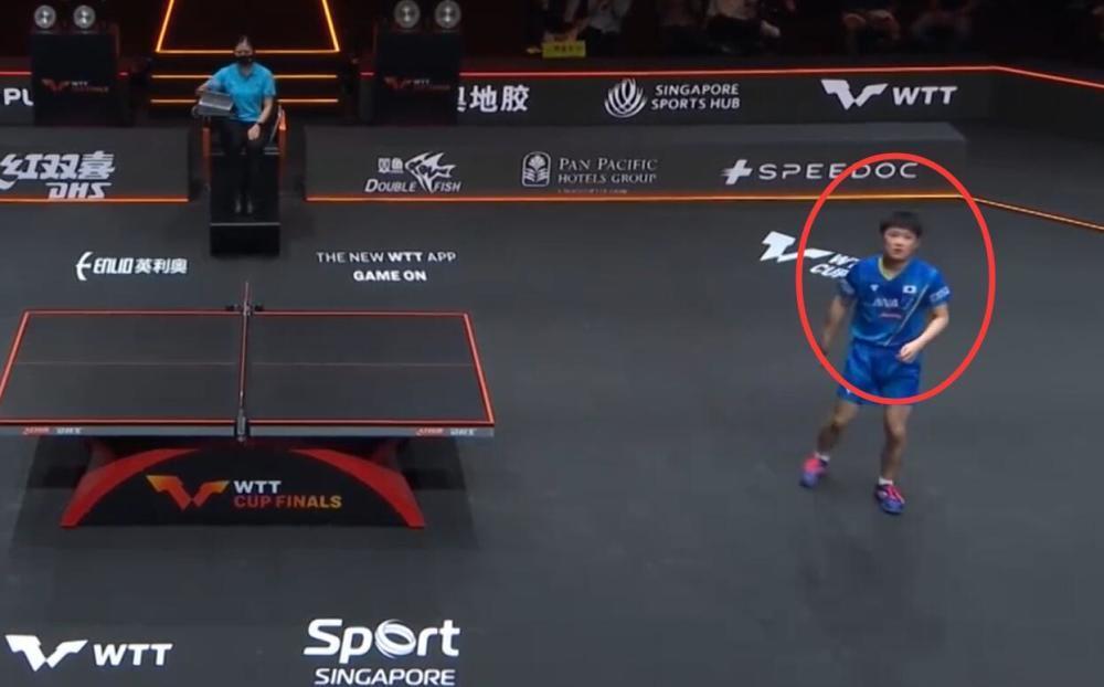 樊振東|有情有義!樊振東奪冠后,誰注意張本智和的舉動:東哥主動安慰